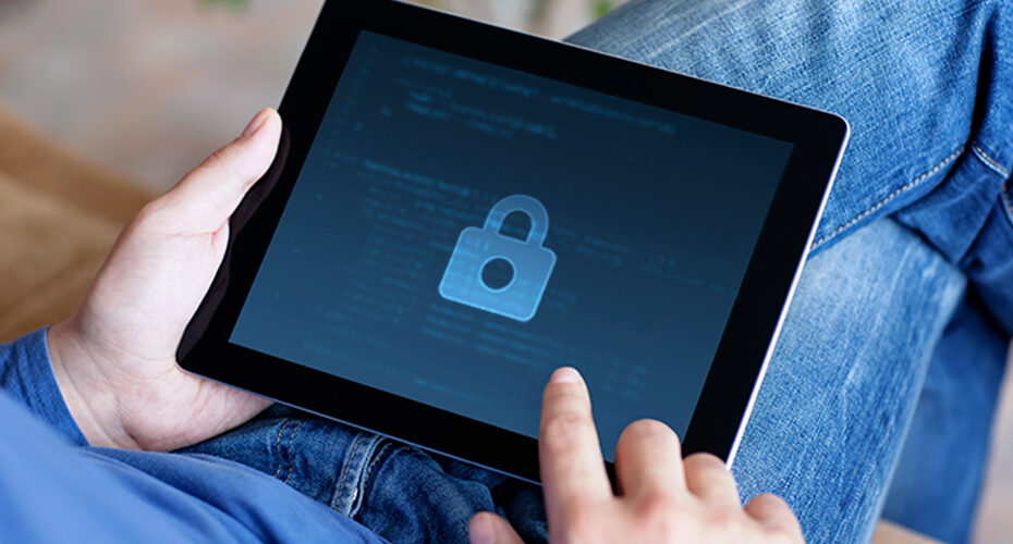 Web Design Services in Illinois